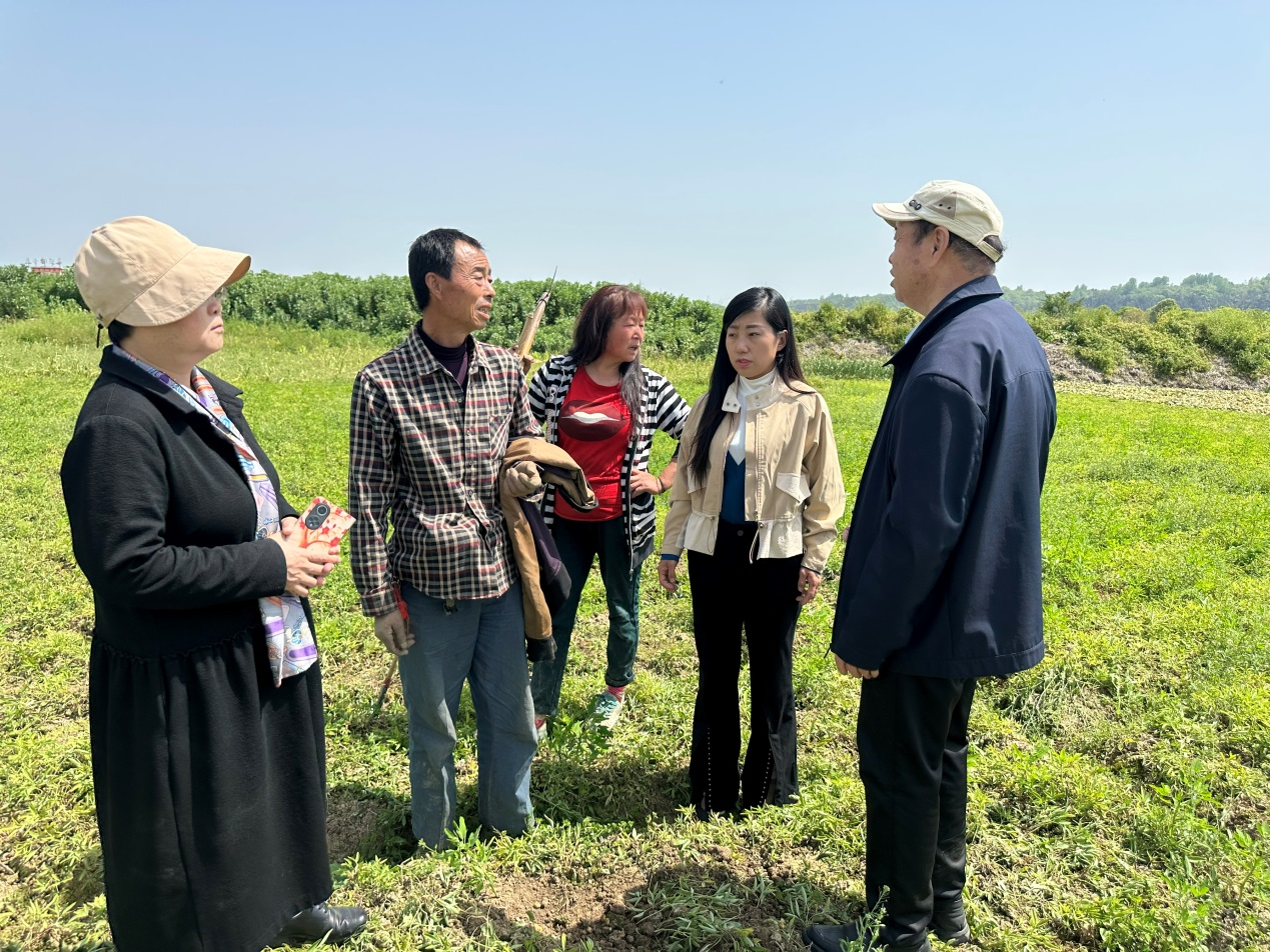 Traditional Chinese Medicine Agricultural Experts